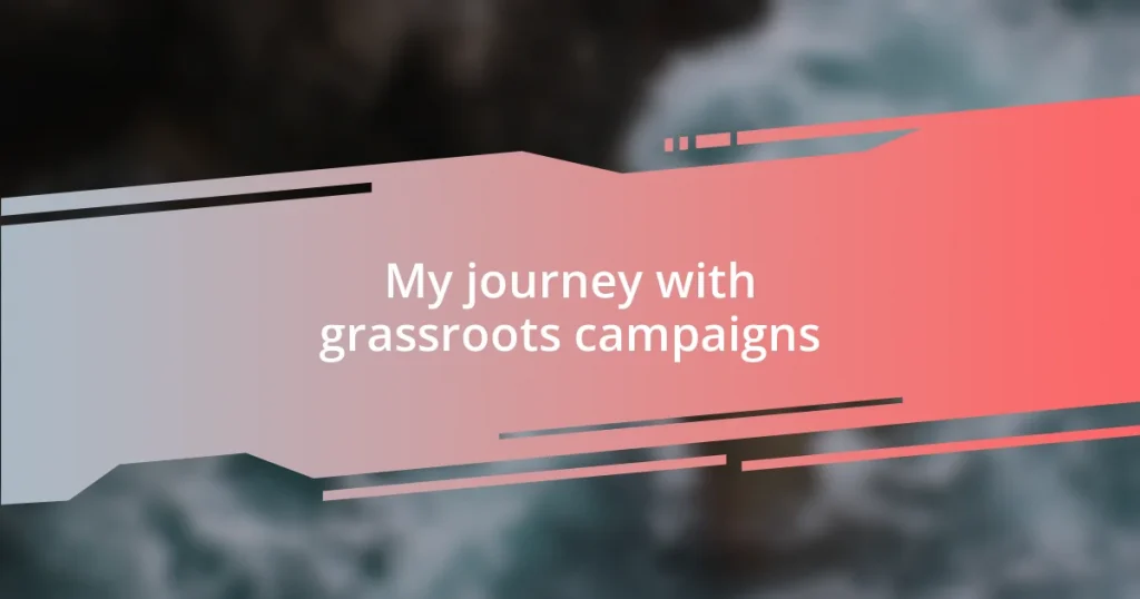 My journey with grassroots campaigns