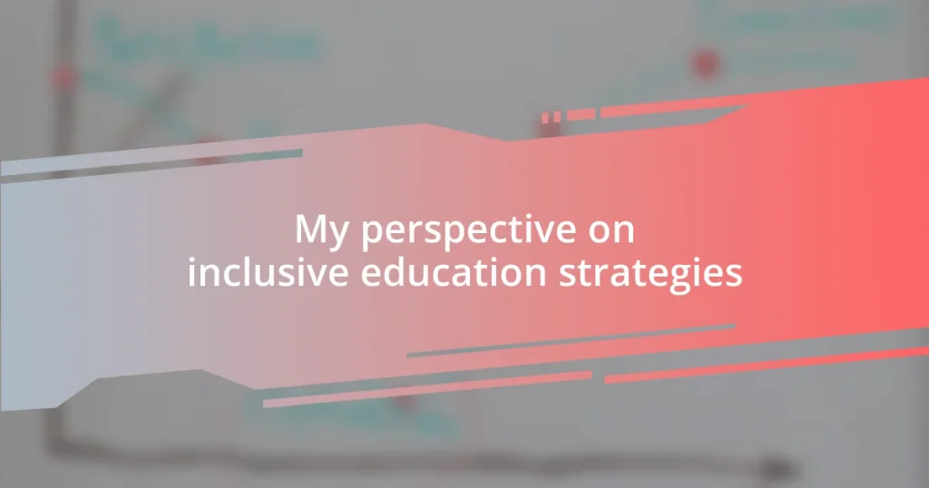 My perspective on inclusive education strategies