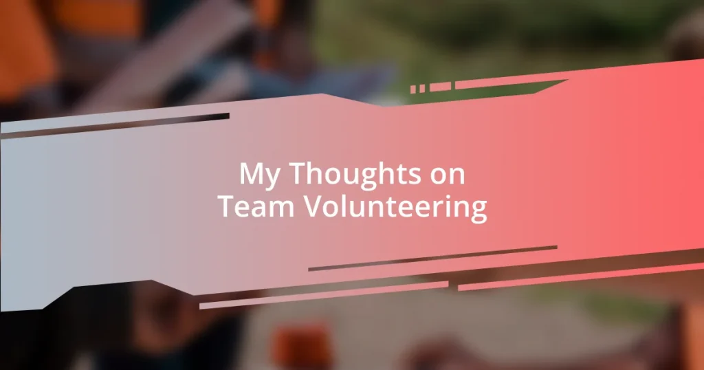 My Thoughts on Team Volunteering